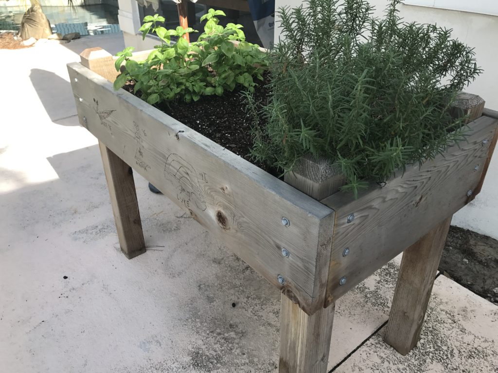 My herb garden
